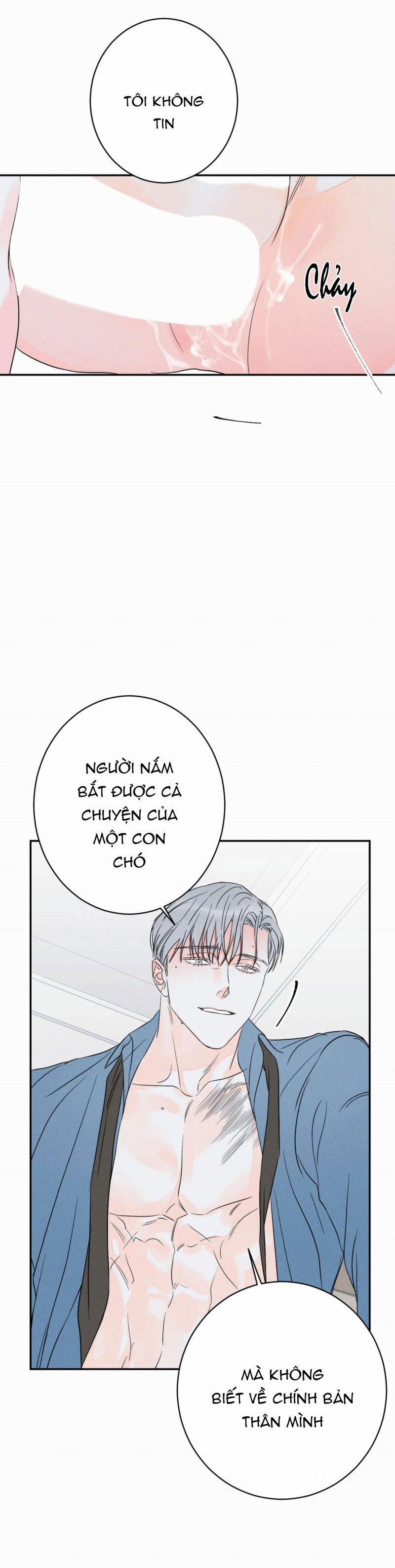 Dù Như Thế Vẫn Thích Sao 38 trang 13