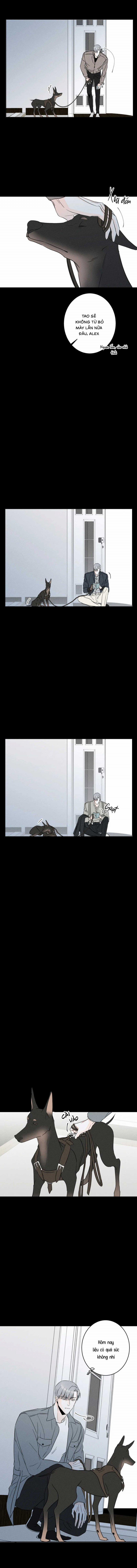 Dù Như Thế Vẫn Thích Sao 39 trang 11