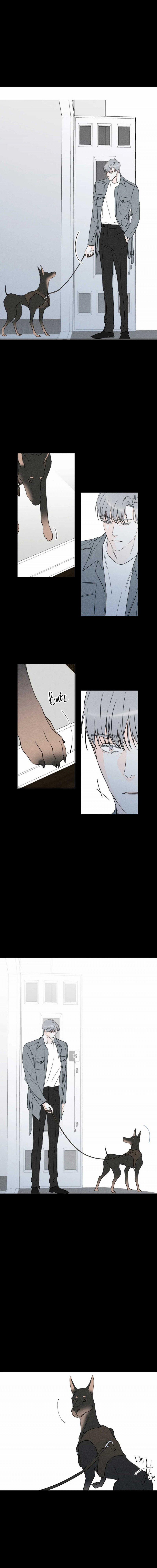 Dù Như Thế Vẫn Thích Sao 39 trang 12