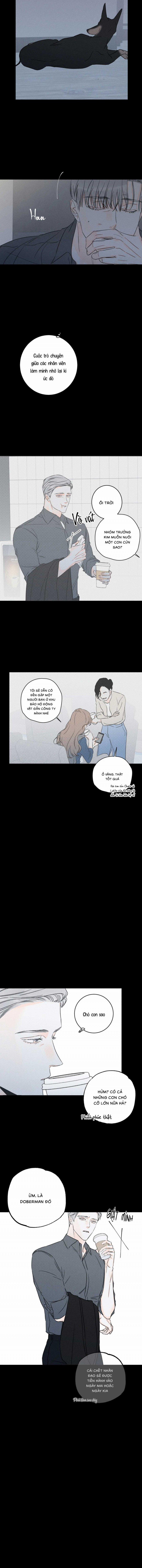 Dù Như Thế Vẫn Thích Sao 39 trang 5