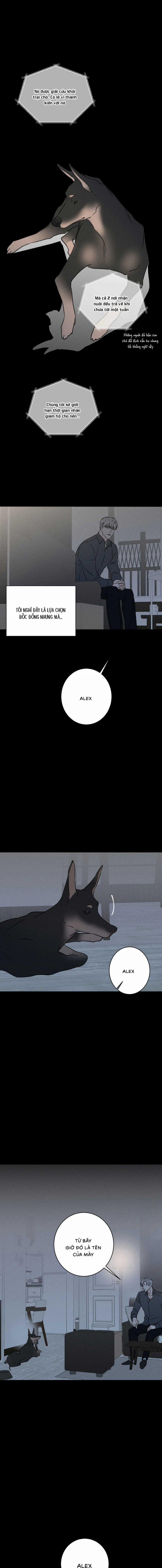 Dù Như Thế Vẫn Thích Sao 39 trang 6