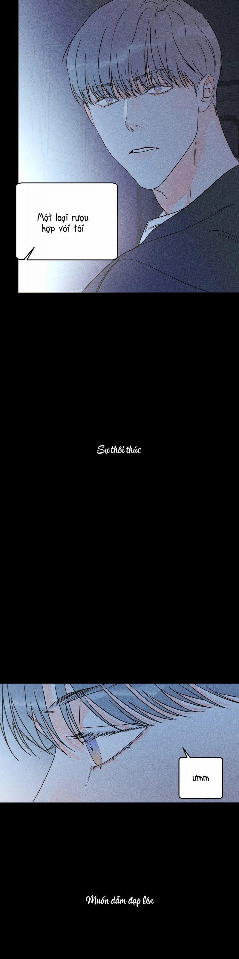 Dù Như Thế Vẫn Thích Sao 41 trang 15