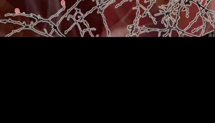 Dữ Quân Lộng Phong Nguyệt 14 trang 103