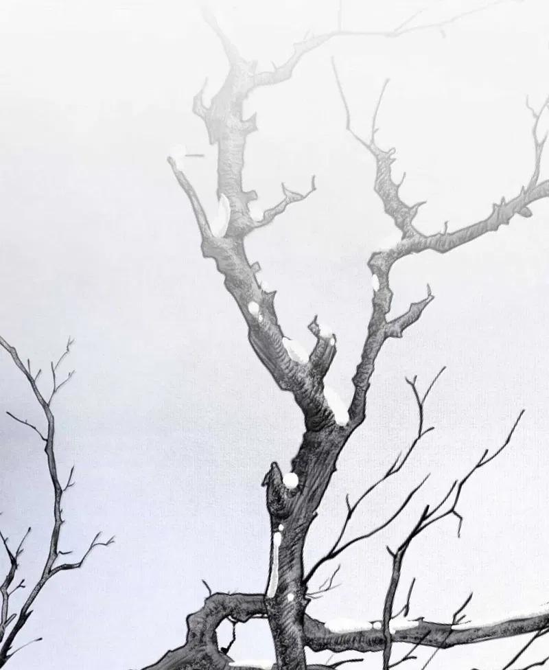 Dữ Quân Lộng Phong Nguyệt 27 trang 17