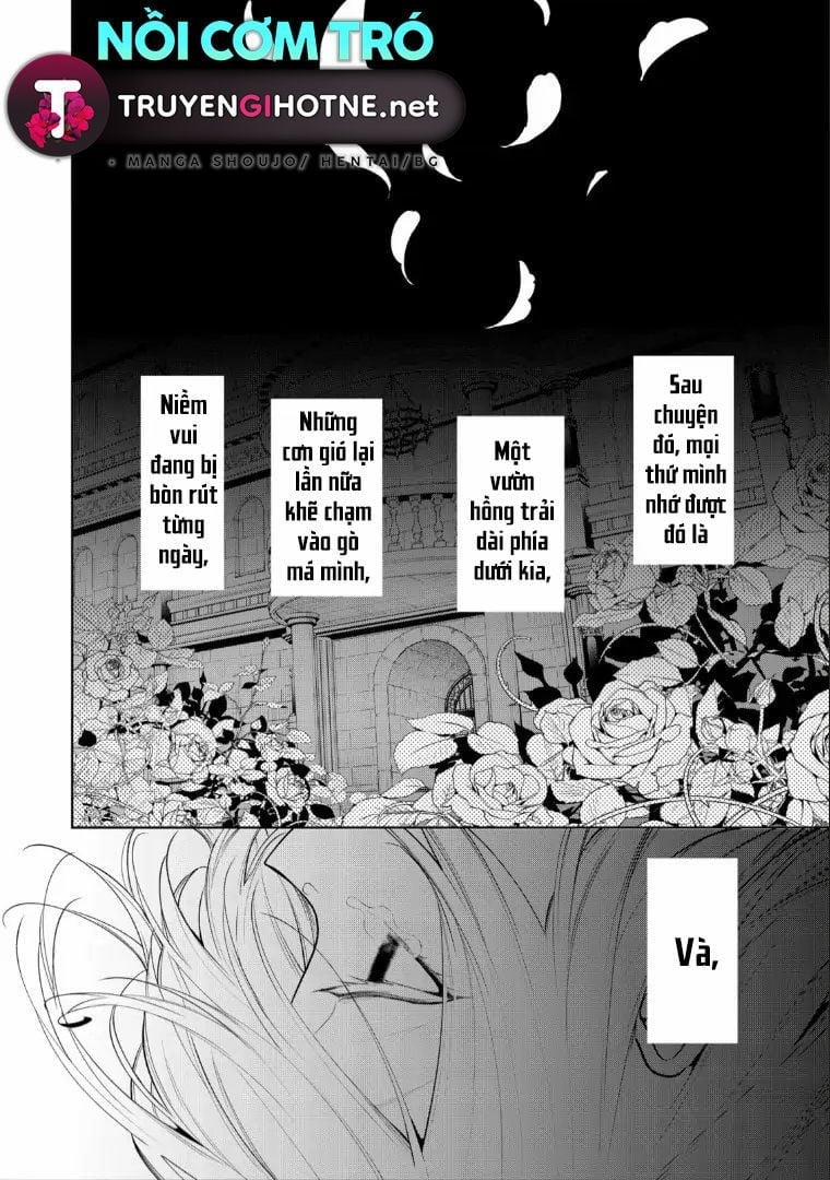 Dù Sao Cũng Bị Vứt Bỏ, Cuối Cùng Hãy Để Ta Được Cố Ý Làm Loạn 8 trang 6