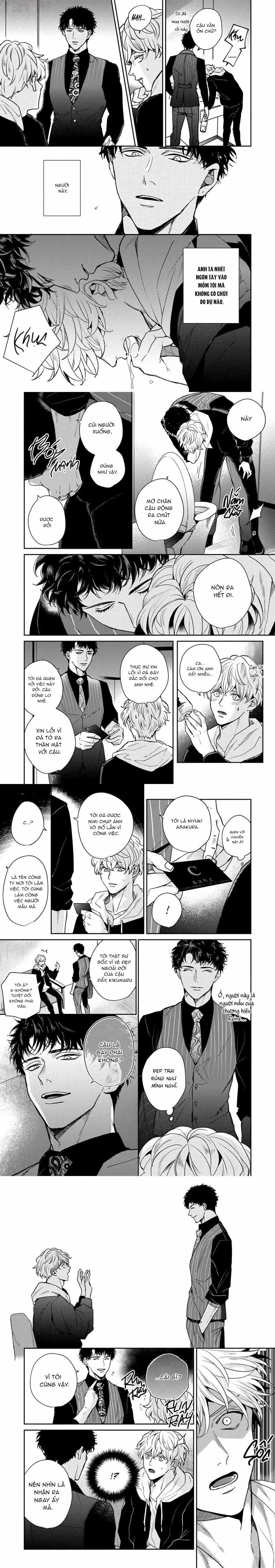 Dù Tôi Có Ngu Ngốc, Yếu Đuối Hay Thảm Hại 1 trang 4