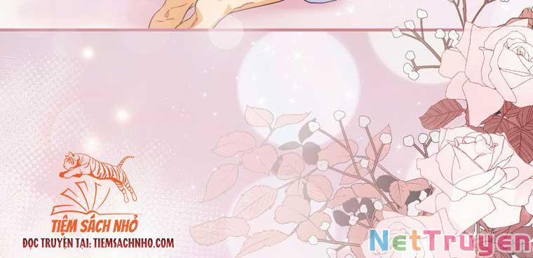 Đứa Bé Đó Không Phải Con Anh 23 trang 5