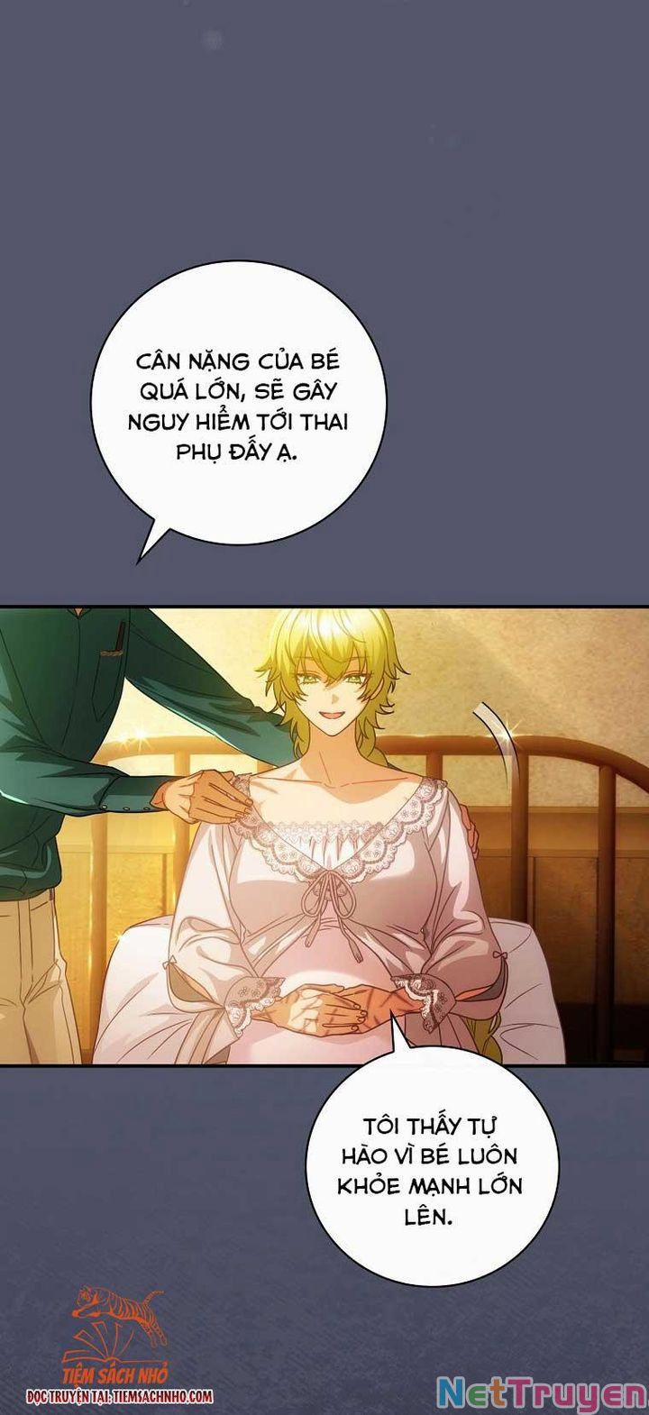 Đứa Bé Đó Không Phải Con Anh 24 trang 11