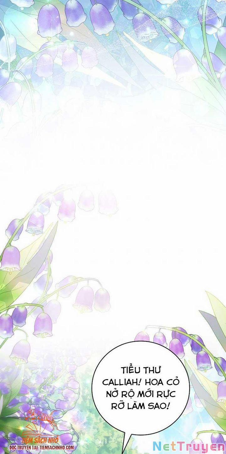 Đứa Bé Đó Không Phải Con Anh 24 trang 24