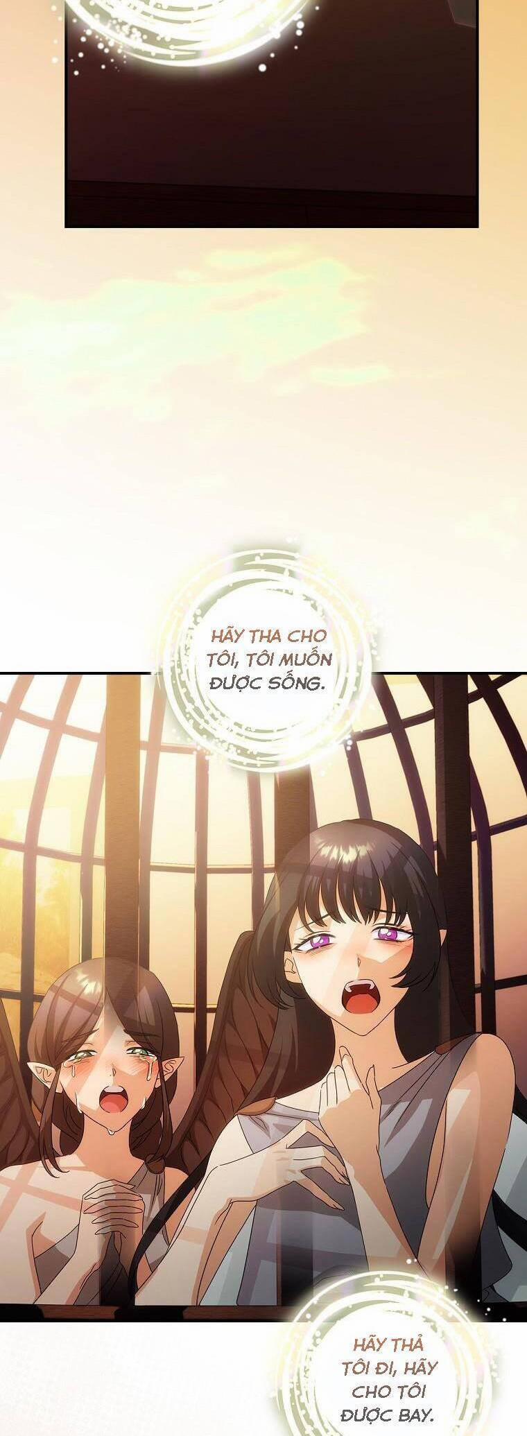 Đứa Bé Đó Không Phải Con Anh 34 trang 13