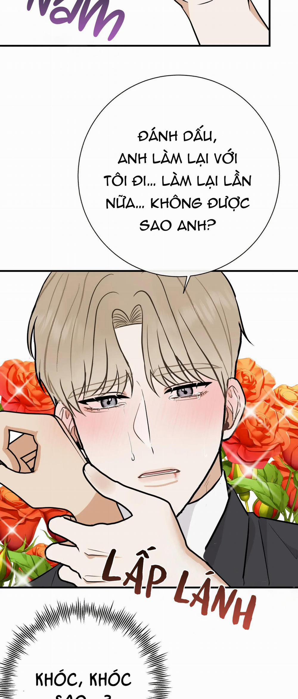 Đứa Bé Là Con Tôi 39 trang 2