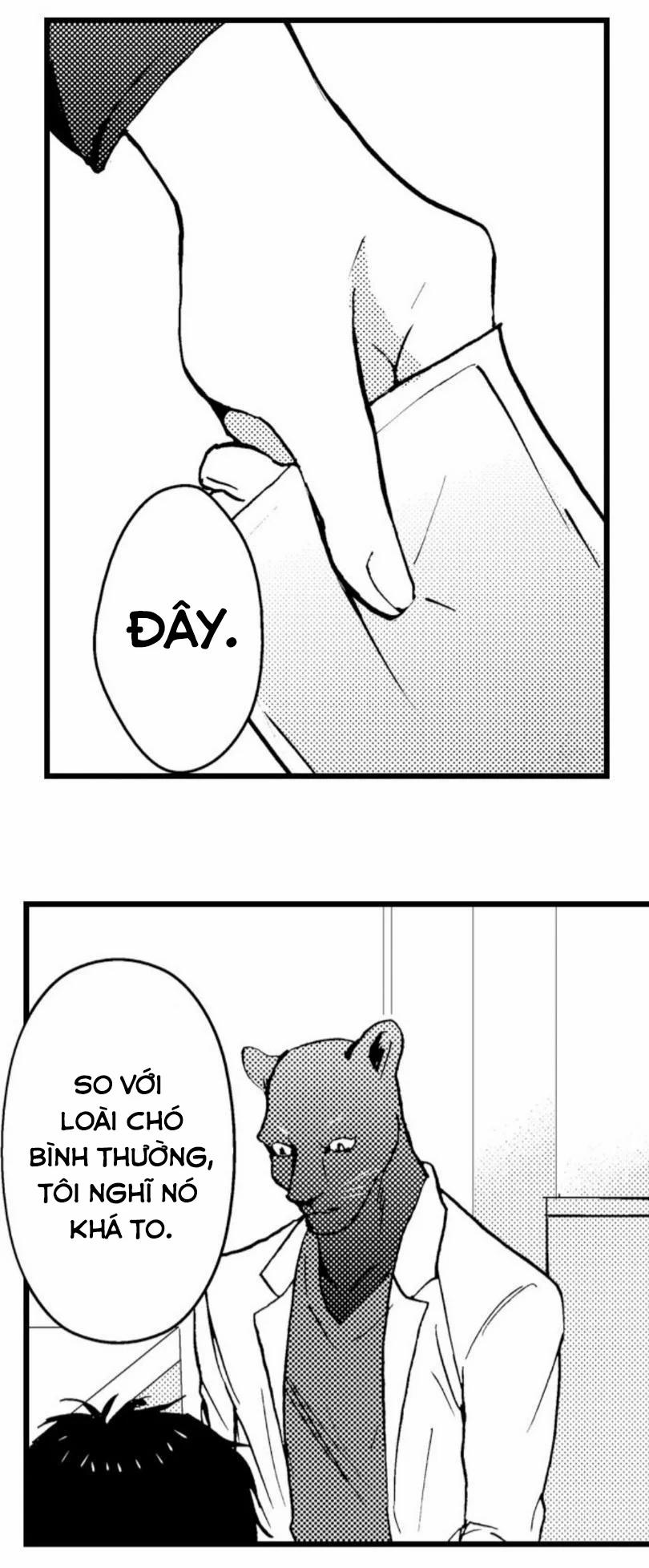 Đứa Con Trai Quái Vật Của Tôi 8.2 trang 6