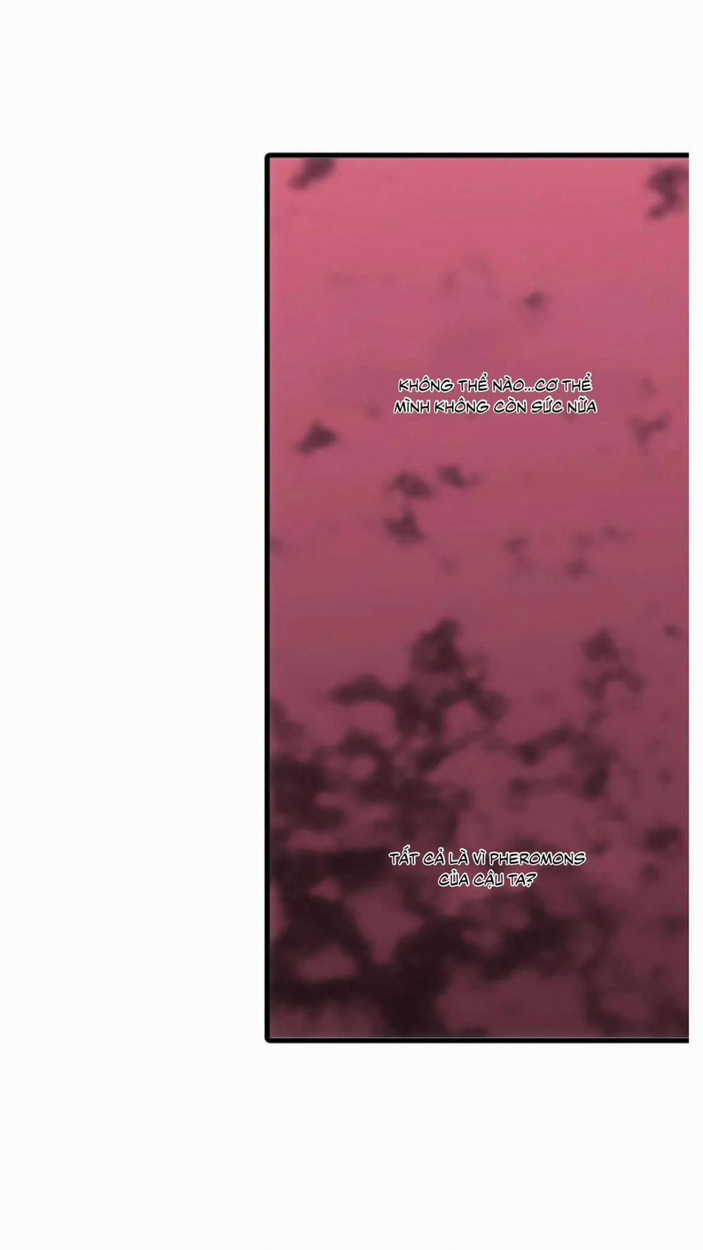 Đưa Đón Người Yêu 55 trang 18