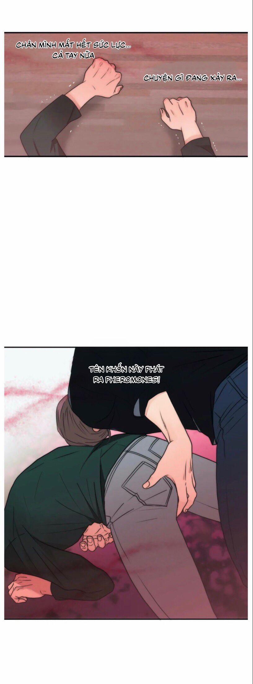 Đưa Đón Người Yêu 55 trang 32