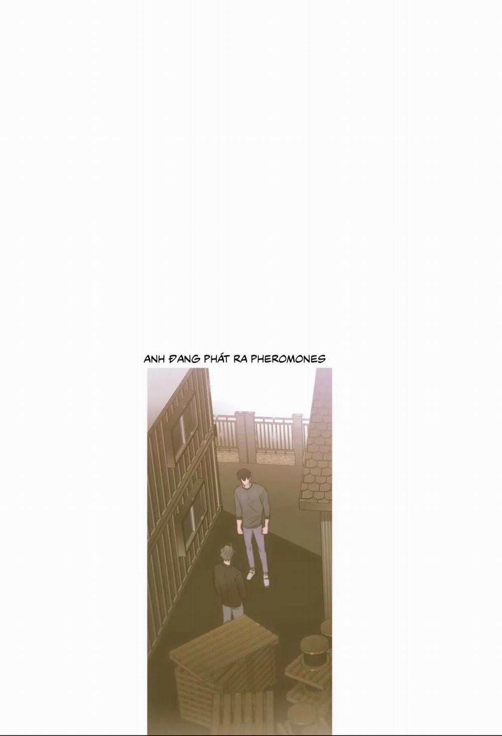 Đưa Đón Người Yêu 55 trang 39