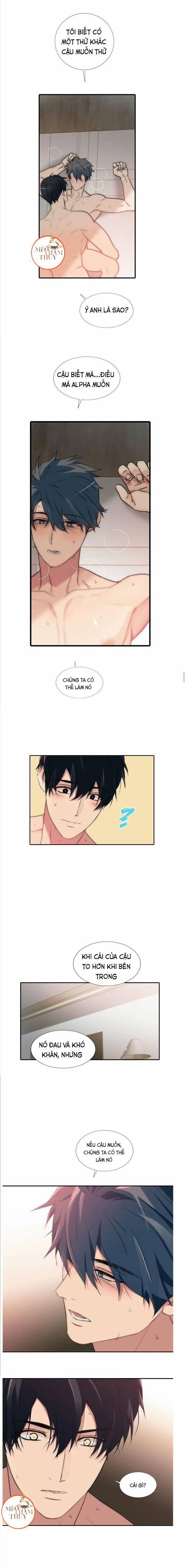 Đưa Đón Người Yêu 60 trang 5