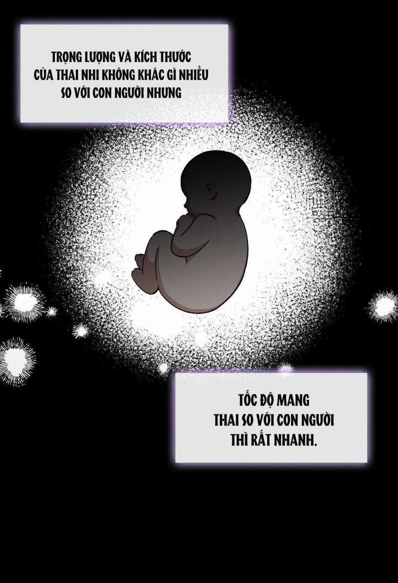 Đưa Em Đến Mặt Trăng 59.1 trang 1