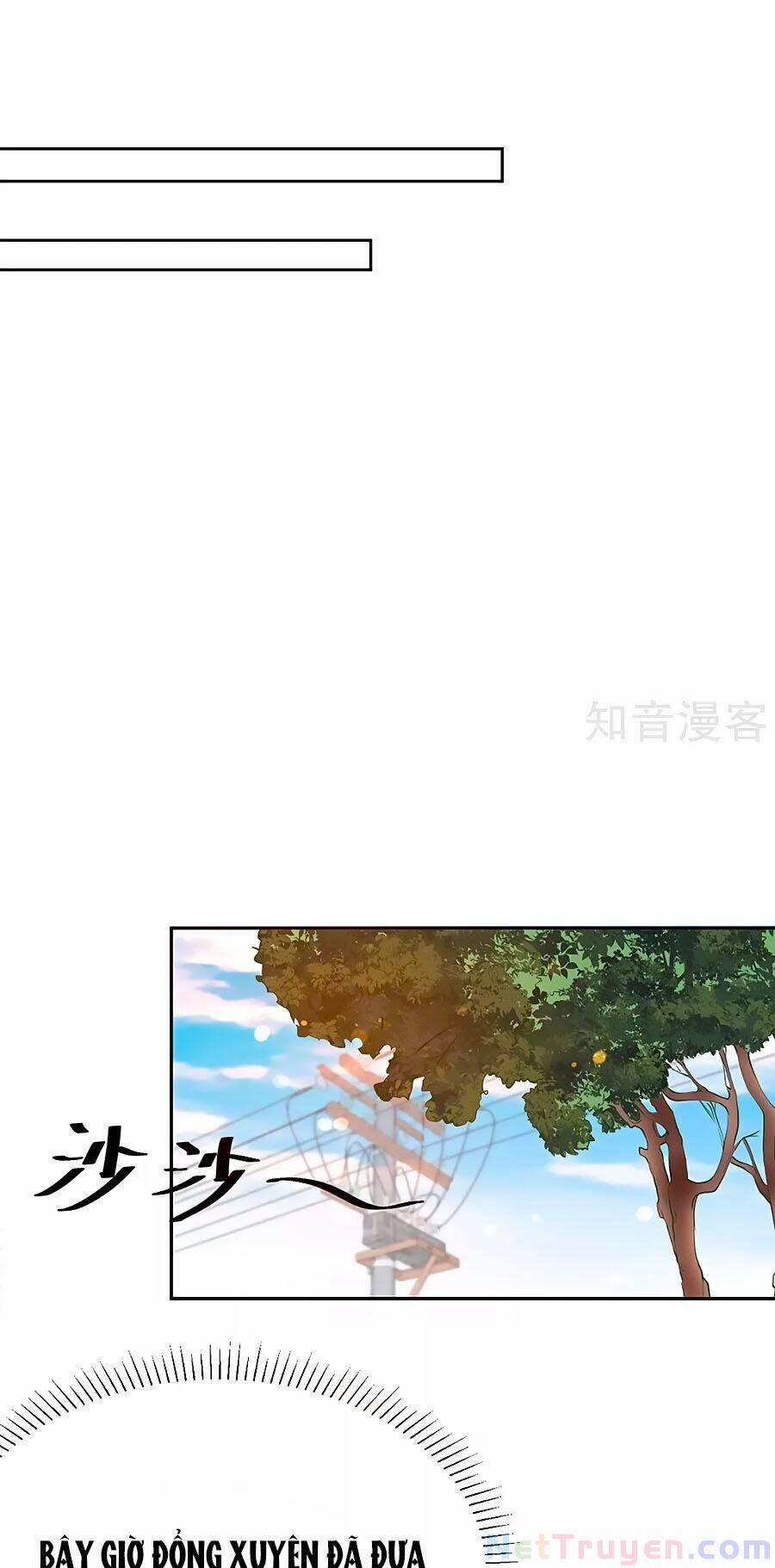 Đưa Mami Về Nhà 334 trang 0