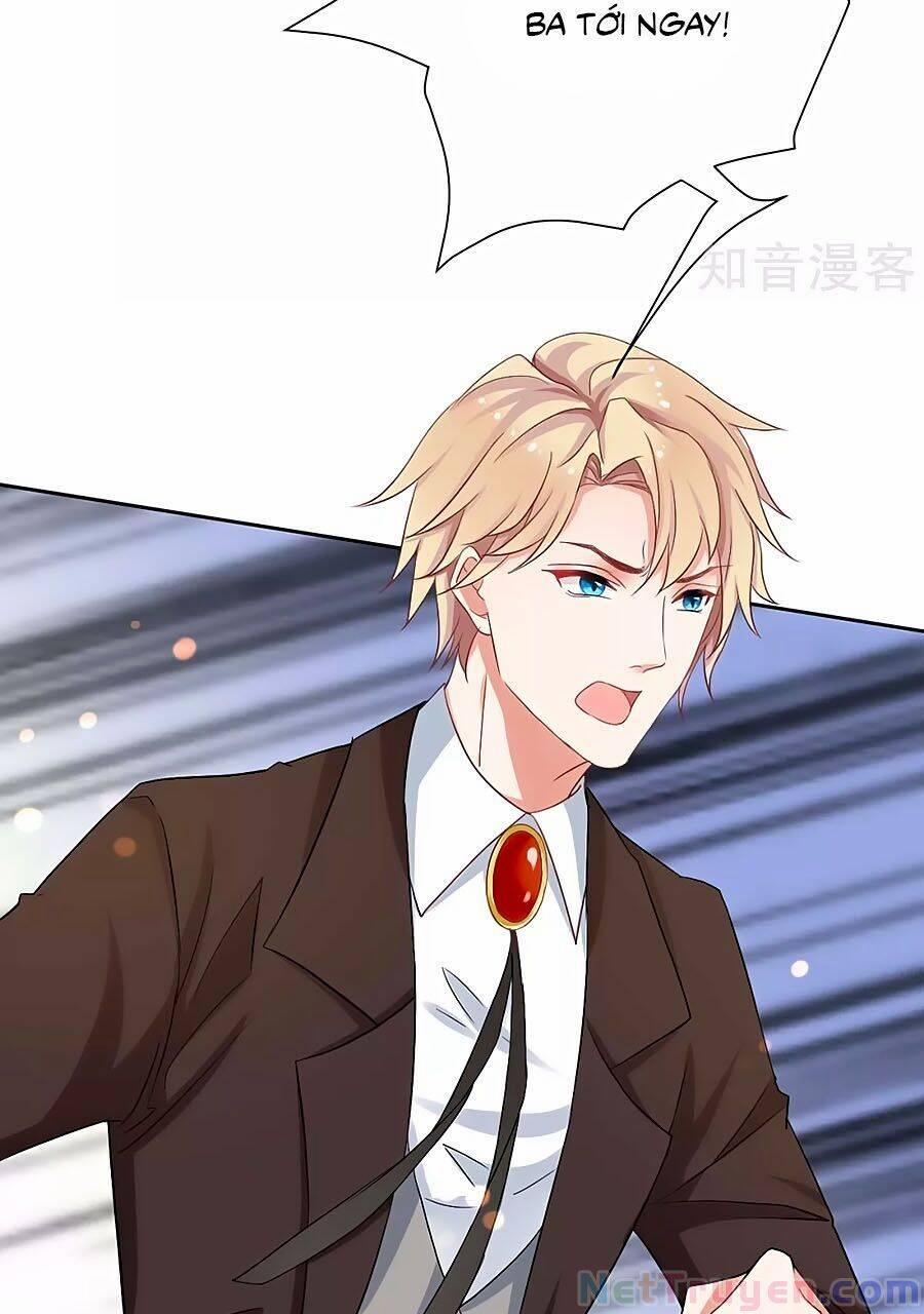 Đưa Mami Về Nhà 334 trang 4