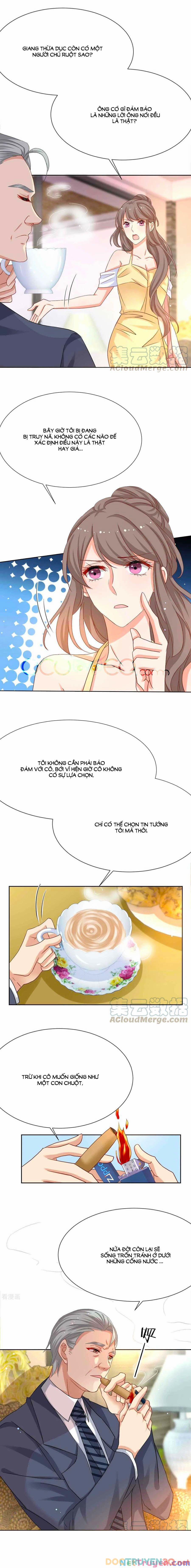 Đưa Mami Về Nhà 339 trang 0