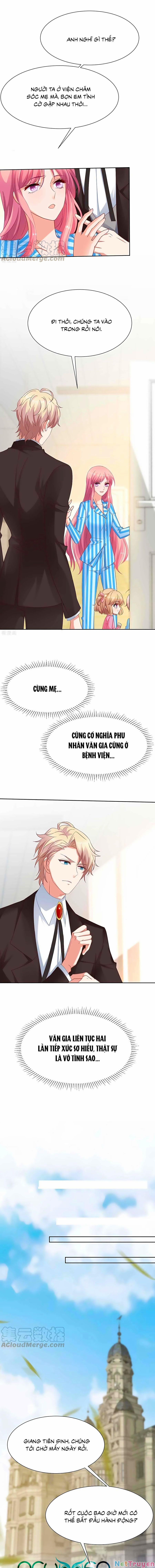 Đưa Mami Về Nhà 346 trang 6