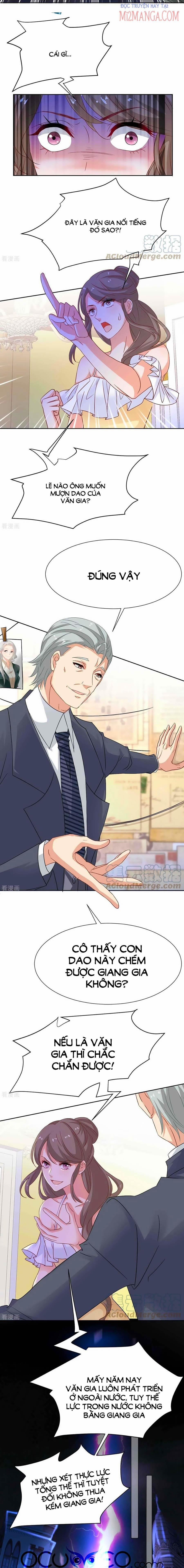 Đưa Mami Về Nhà 347 trang 2