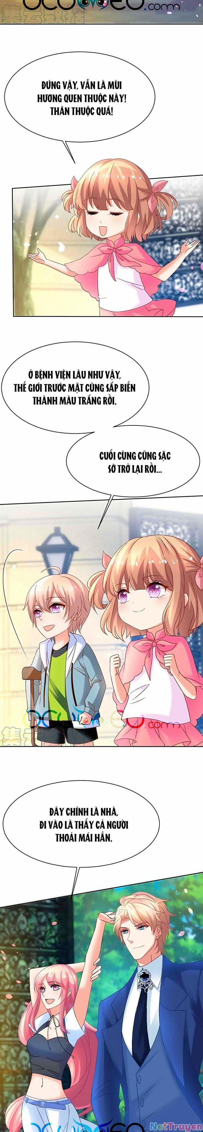 Đưa Mami Về Nhà 354 trang 8