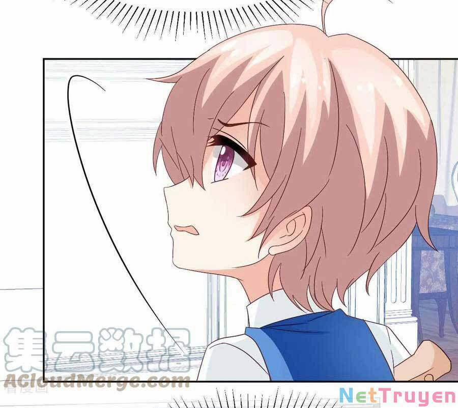 Đưa Mami Về Nhà 362 trang 11