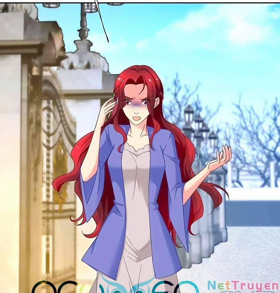 Đưa Mami Về Nhà 366 trang 2