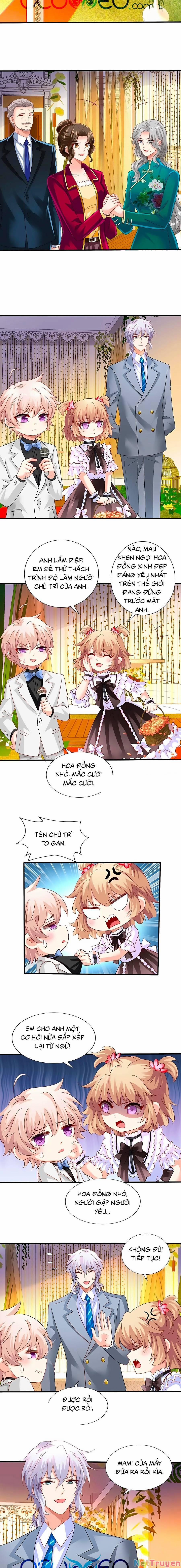 Đưa Mami Về Nhà 407 trang 1