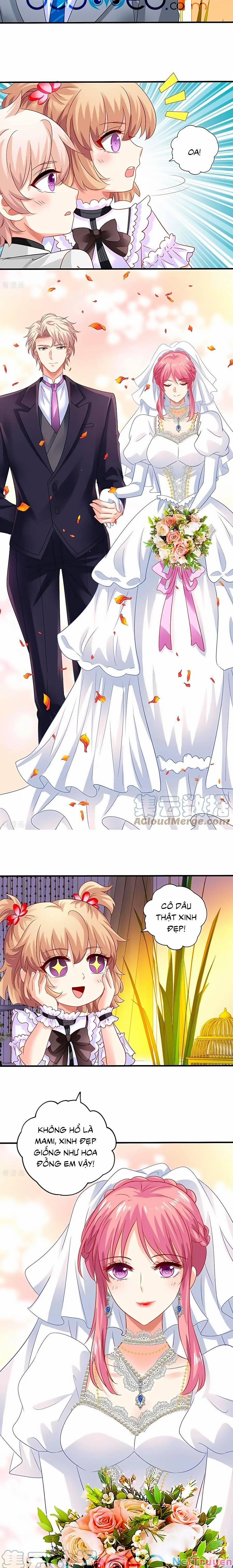 Đưa Mami Về Nhà 407 trang 2