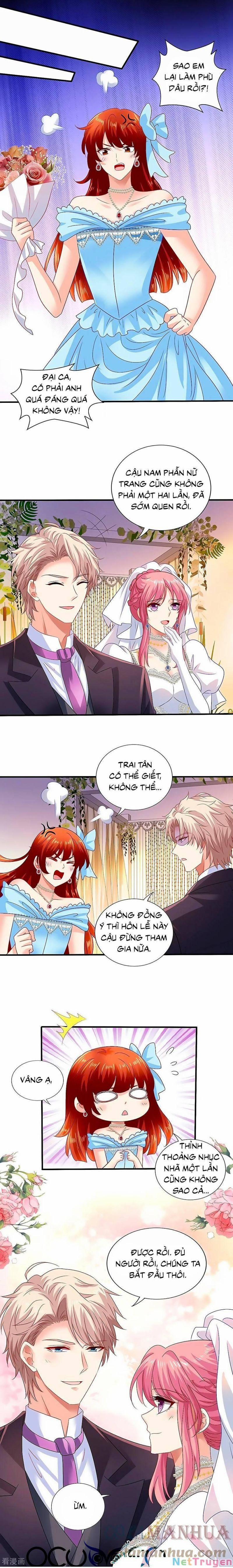 Đưa Mami Về Nhà 408 trang 0