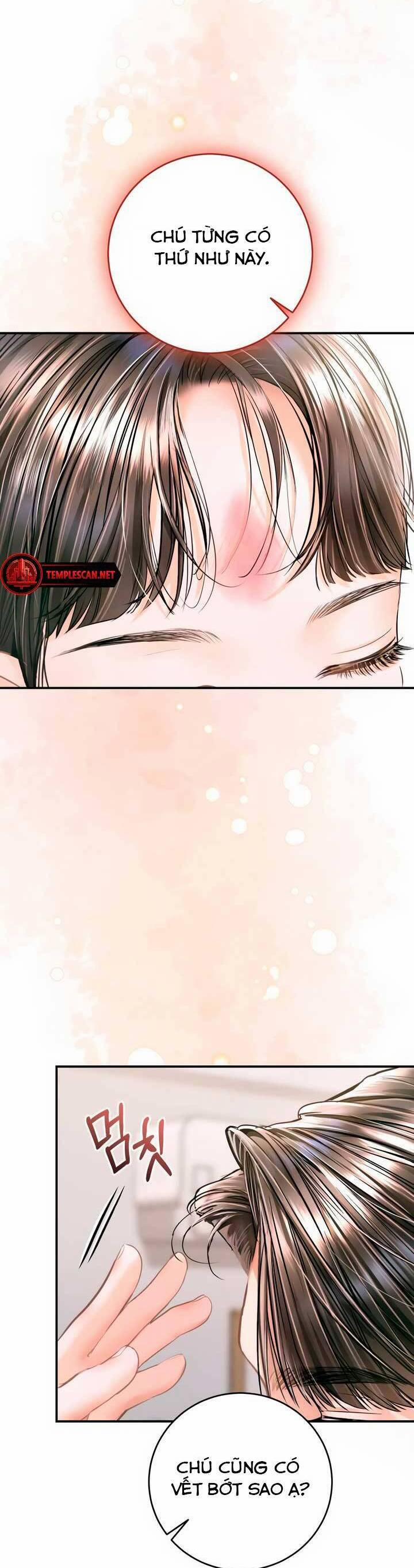 Đứa Trẻ Trông Giống Tôi 37 trang 41