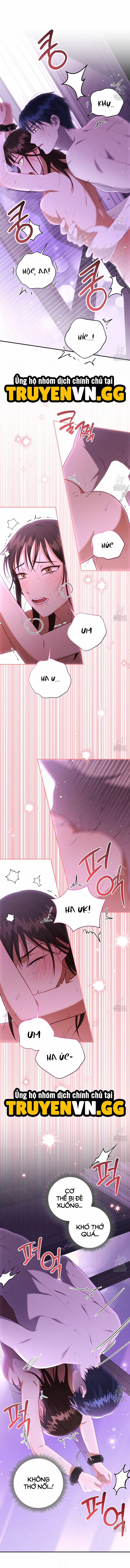 Dục Vọng Bóng Ma 8 trang 11