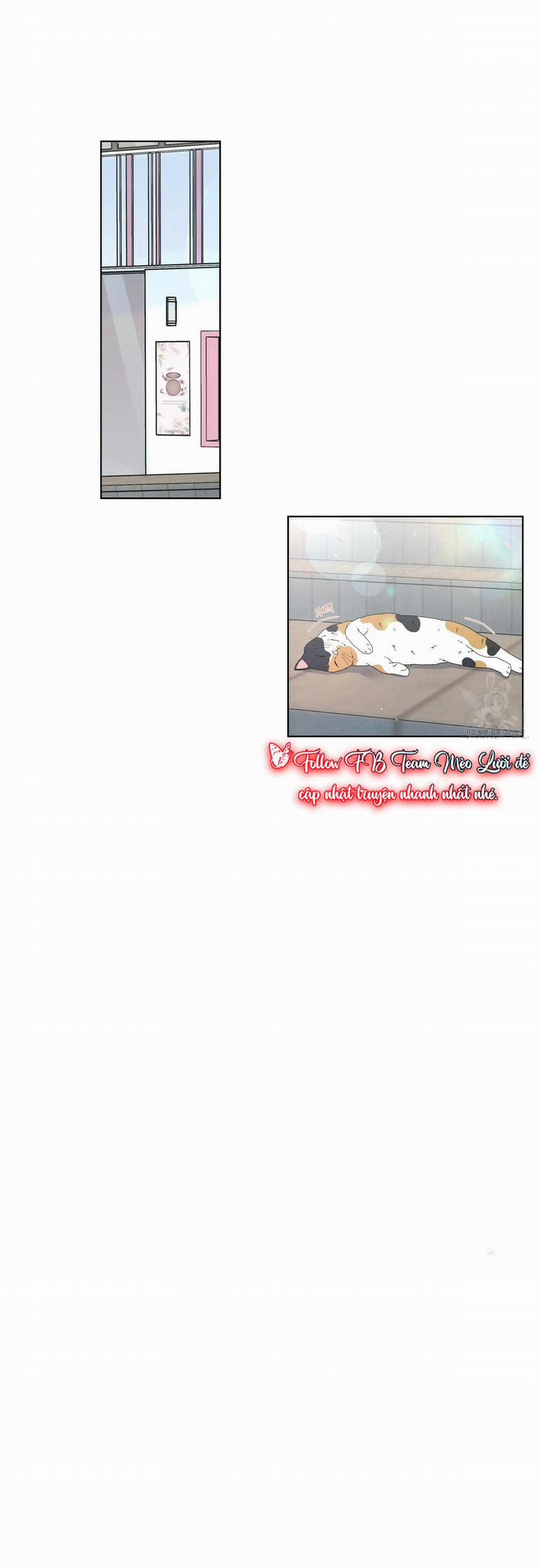 Đừng Bận Tâm, Em Yêu 18 trang 37