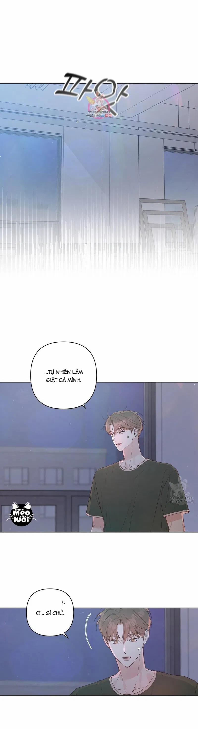 Đừng Bận Tâm, Em Yêu 40 trang 0