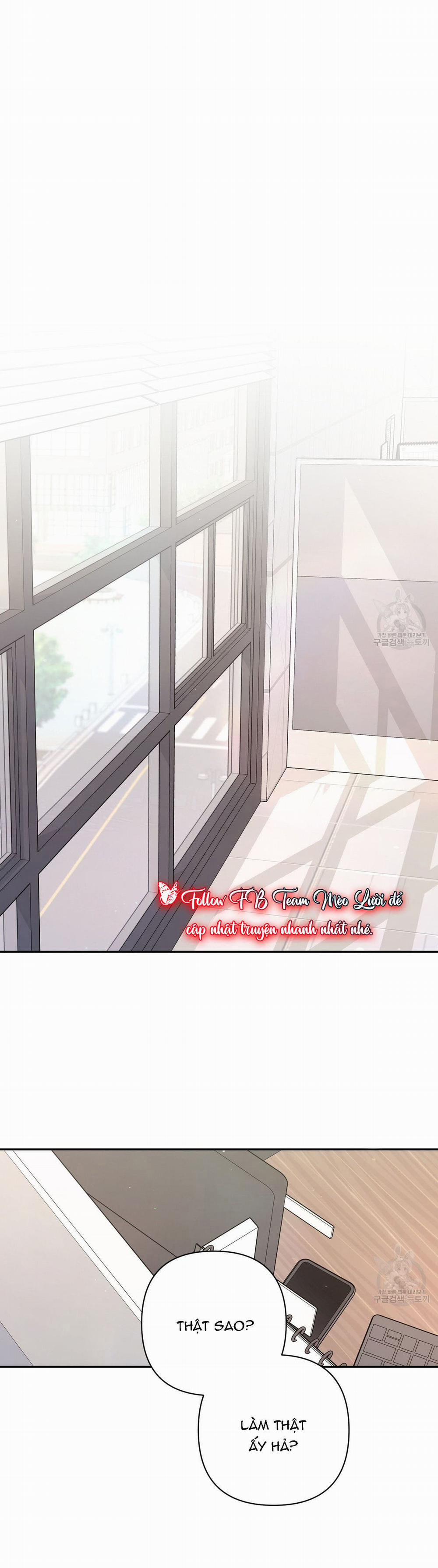 Đừng Bận Tâm, Em Yêu 43 trang 0