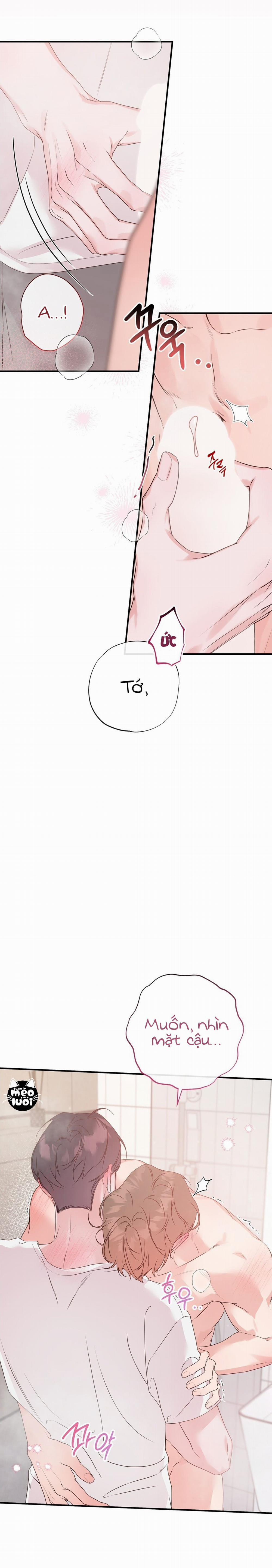 Đừng Bận Tâm, Em Yêu 63 trang 21