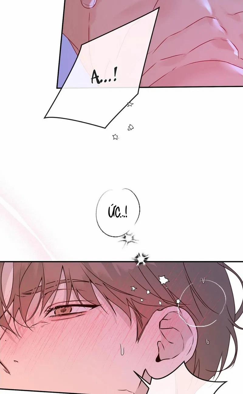 Đừng Bận Tâm, Em Yêu 71 trang 4