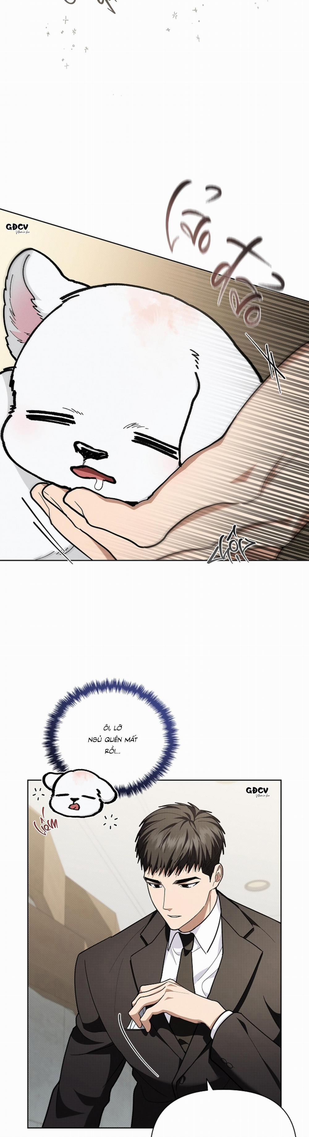 ĐỪNG CHẠM VÀO CÚN CON CỦA TÔI 12 trang 1