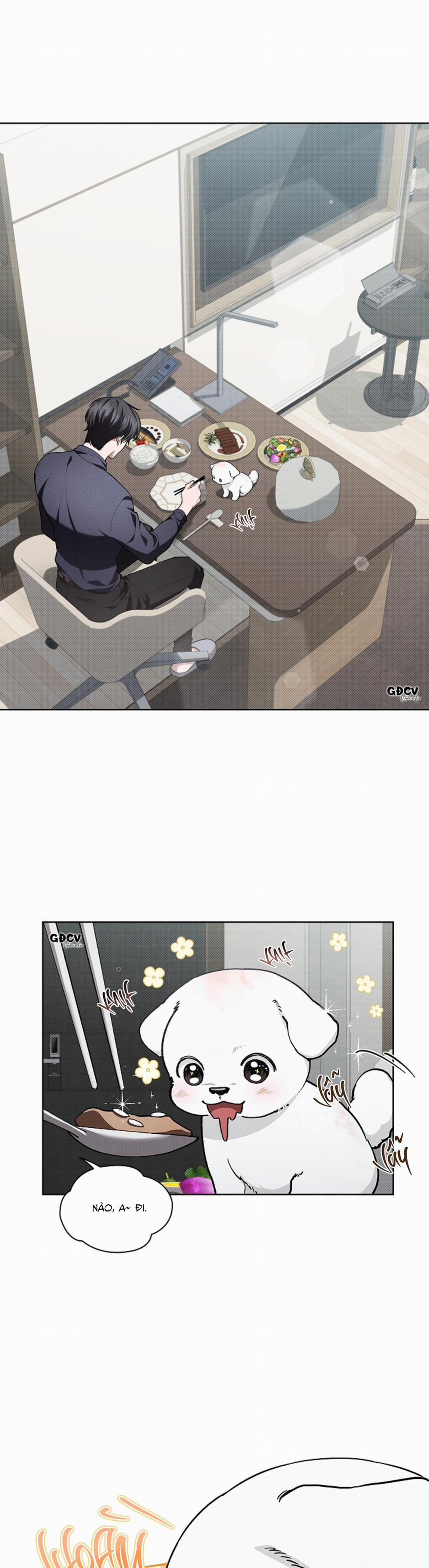 ĐỪNG CHẠM VÀO CÚN CON CỦA TÔI 12 trang 22