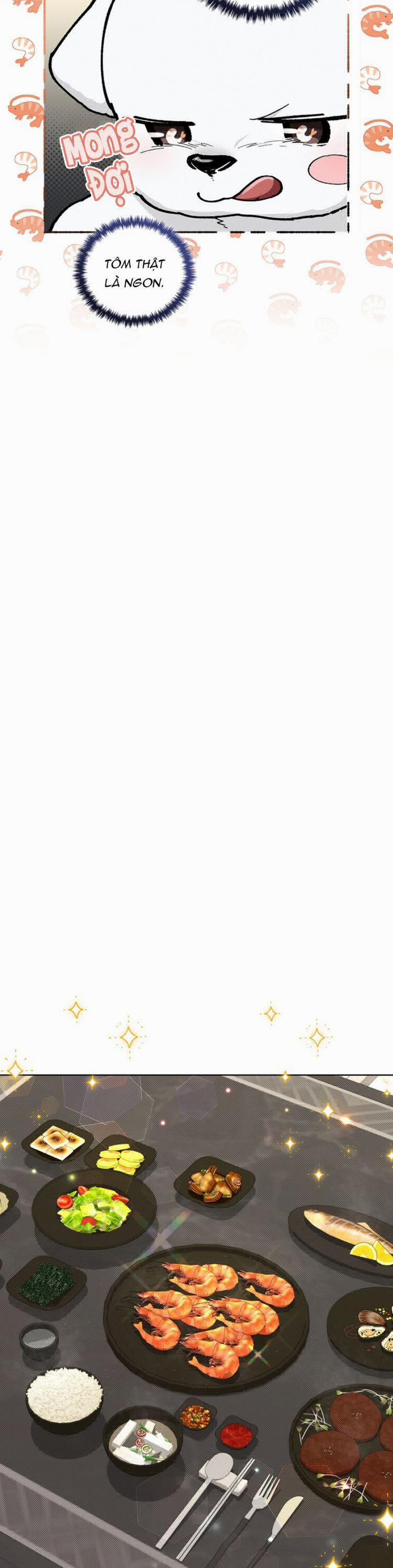 Đừng Chạm Vào Cún Con 10 trang 14