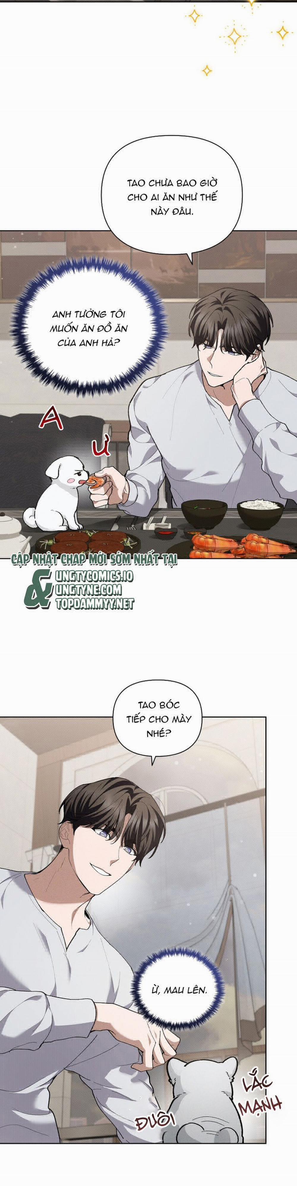 Đừng Chạm Vào Cún Con 10 trang 15