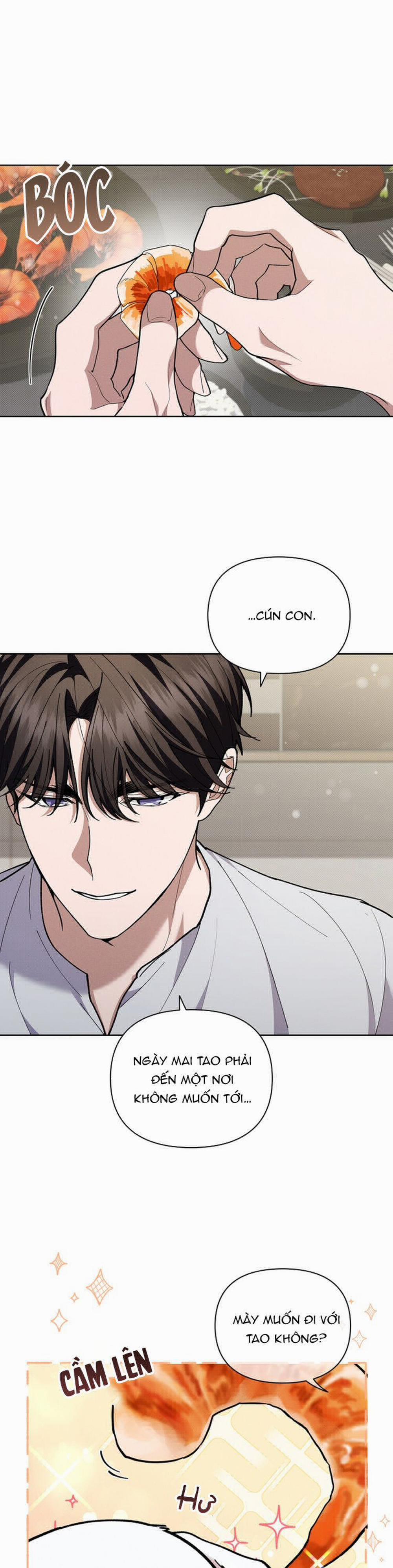 Đừng Chạm Vào Cún Con 10 trang 16