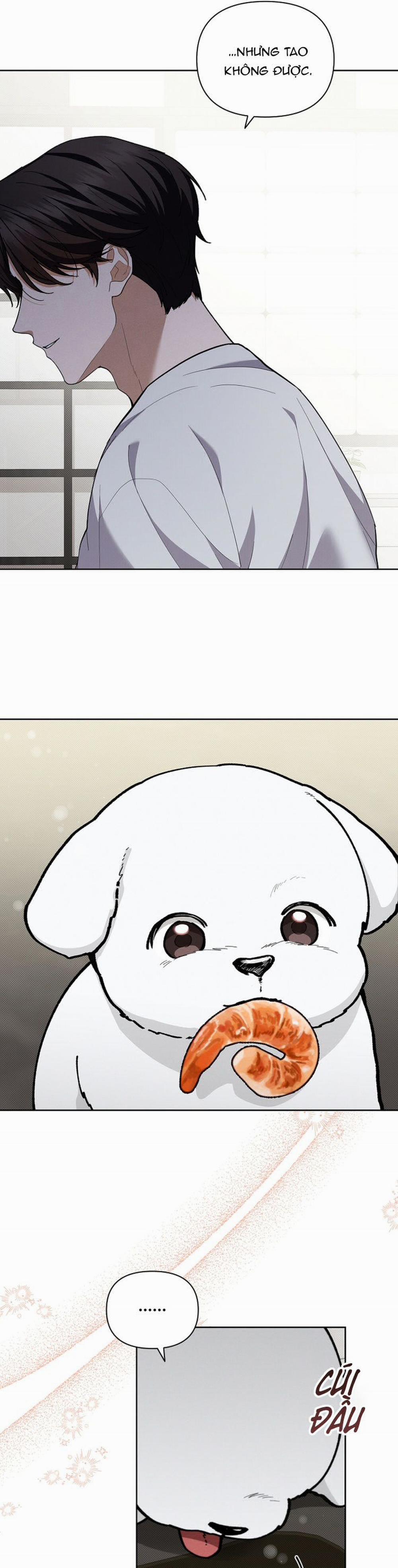 Đừng Chạm Vào Cún Con 10 trang 22