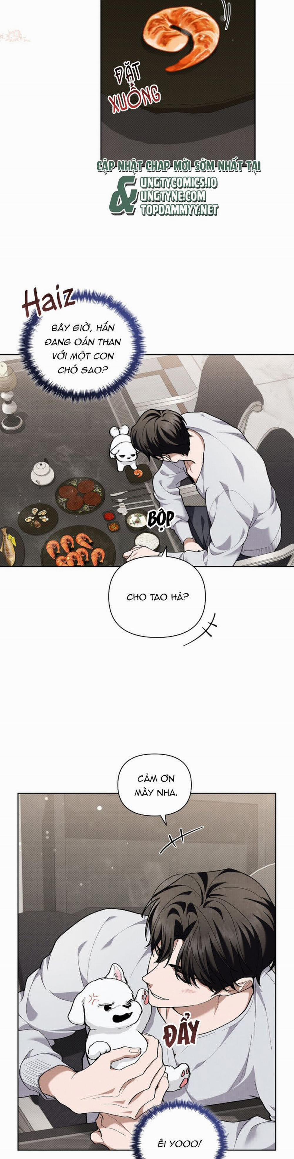 Đừng Chạm Vào Cún Con 10 trang 23