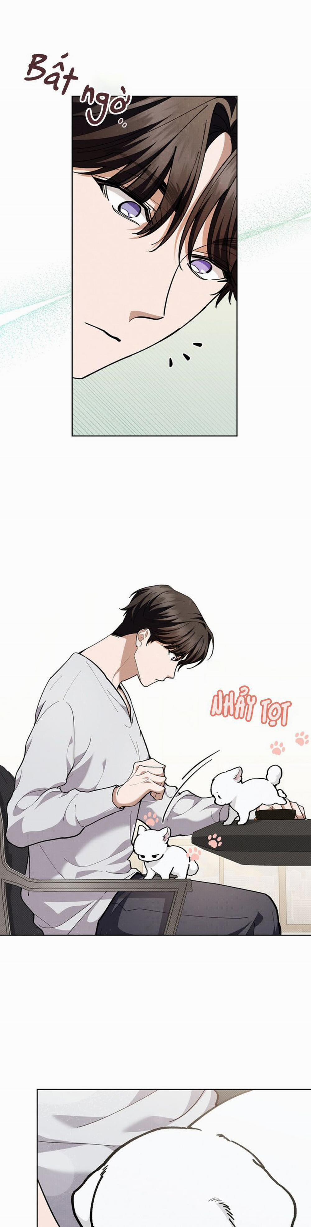 Đừng Chạm Vào Cún Con 10 trang 27