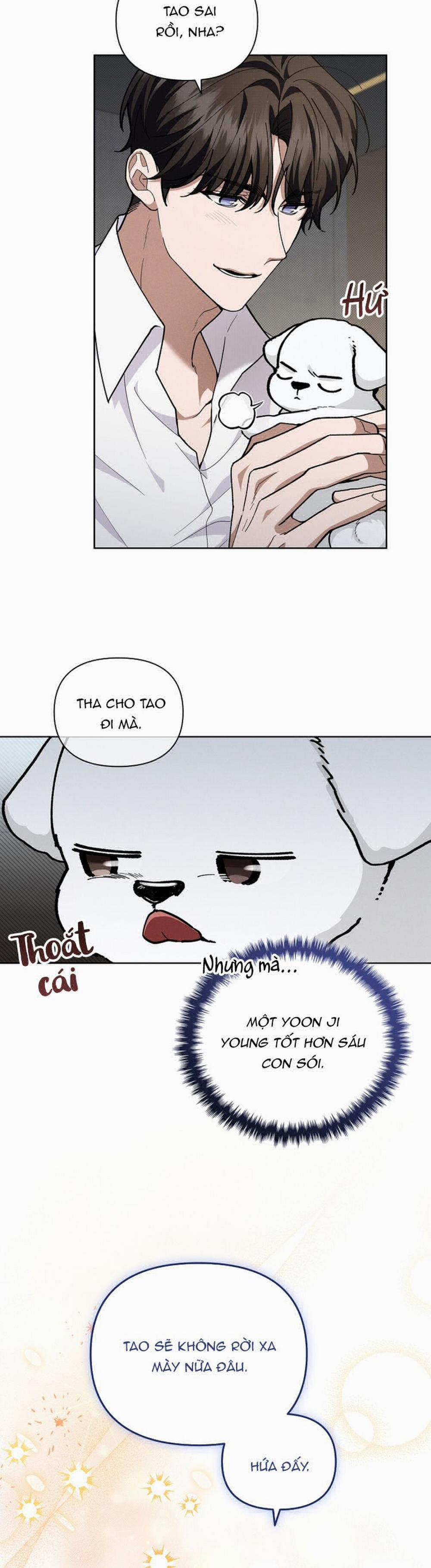 Đừng Chạm Vào Cún Con 10 trang 7