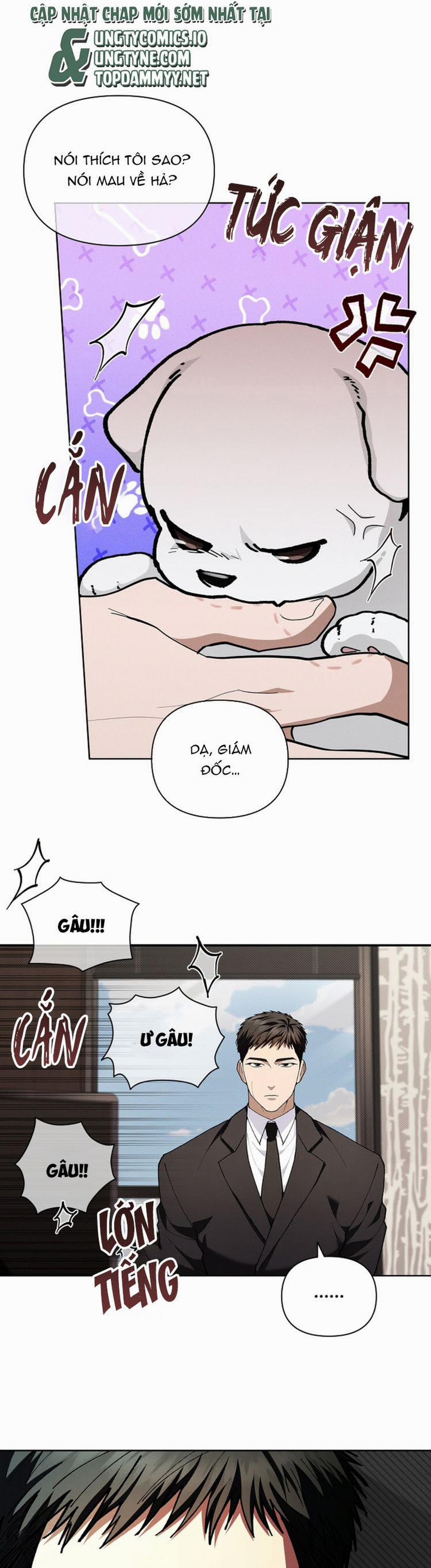 Đừng Chạm Vào Cún Con 10 trang 9