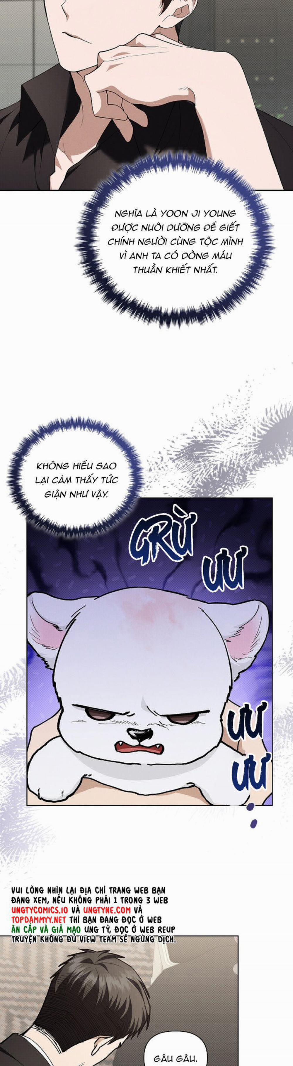 Đừng Chạm Vào Cún Con 11 trang 10